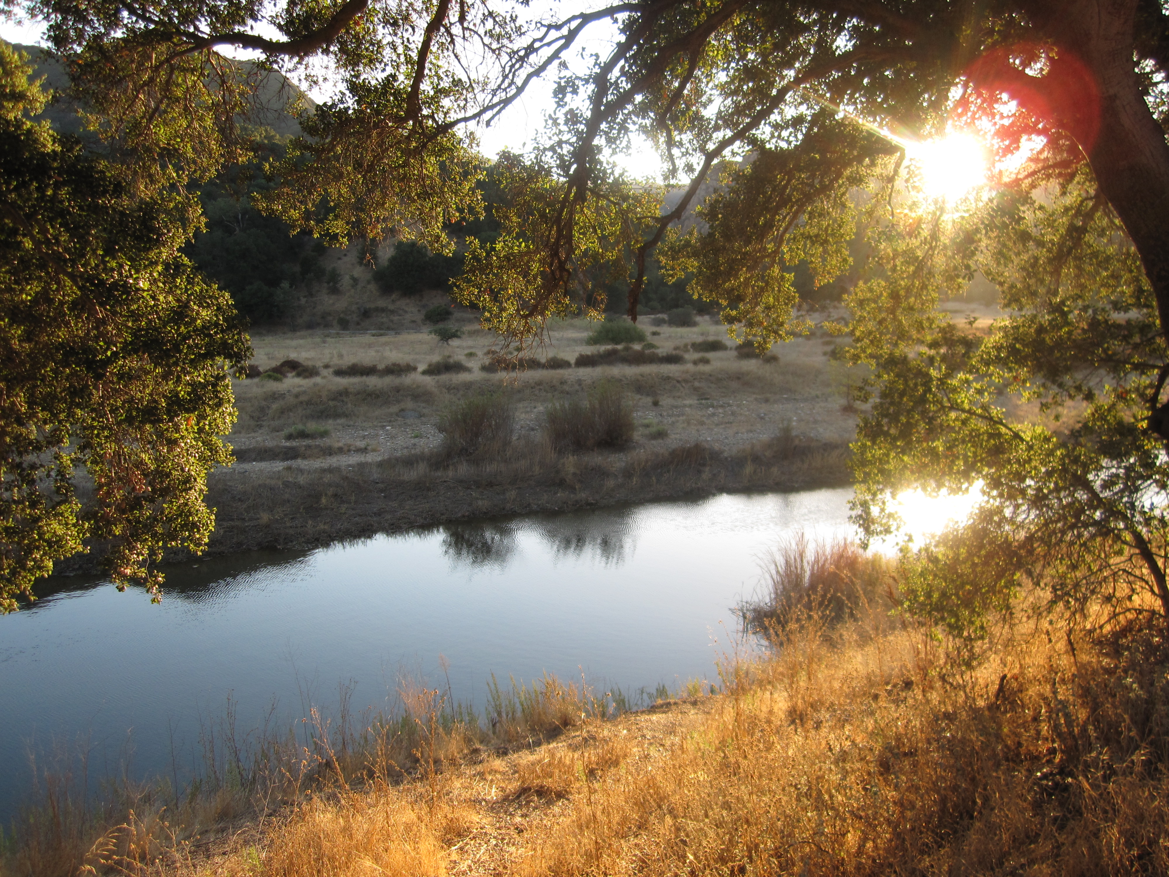 Malibu Creek (11074370443)