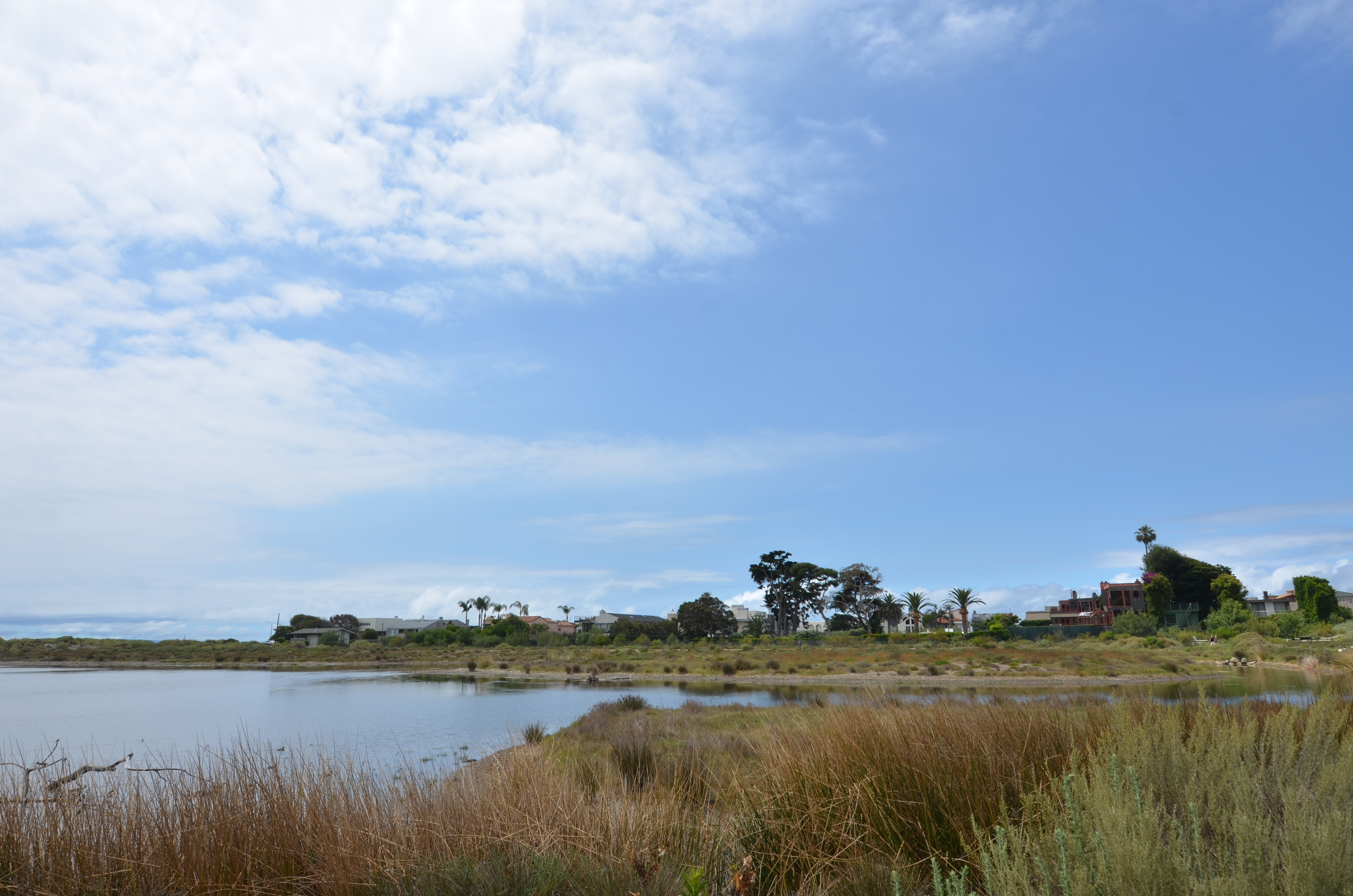 Malibu Lagoon State Beach 2019